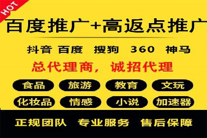SEM推广公司案例：助力企业实现品牌价值提升